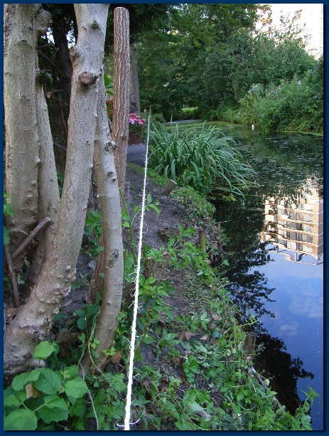 450x599 pixels (193K)