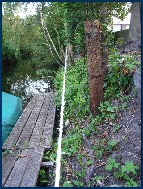 450x599 pixels (205K)