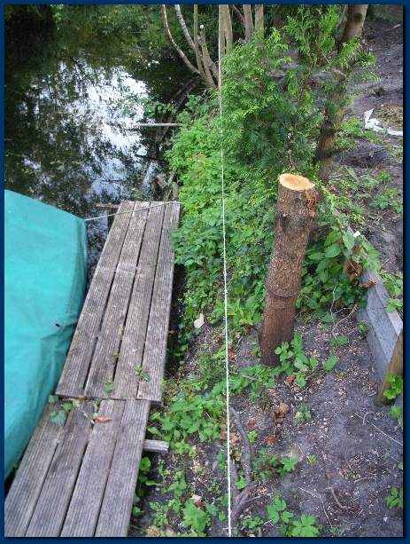 450x599 pixels (199K)