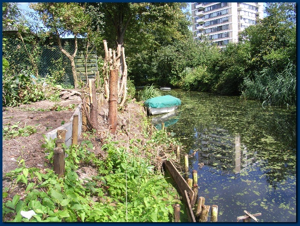 600x449 pixels (237K)