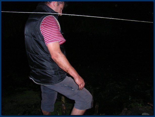 600x449 pixels (87K)