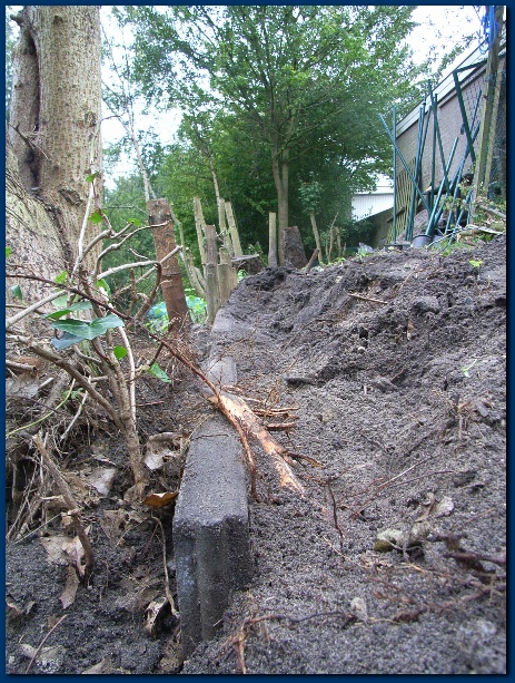 450x599 pixels (219K)