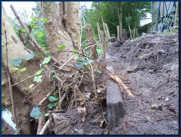 600x449 pixels (222K)