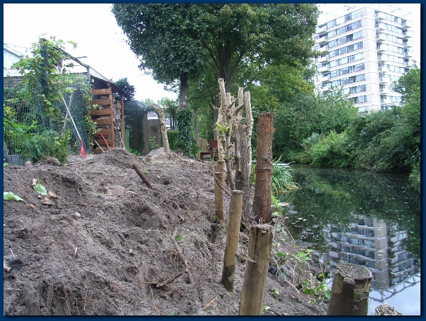 600x449 pixels (197K)