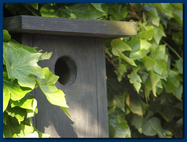 600x449 pixels (116K)