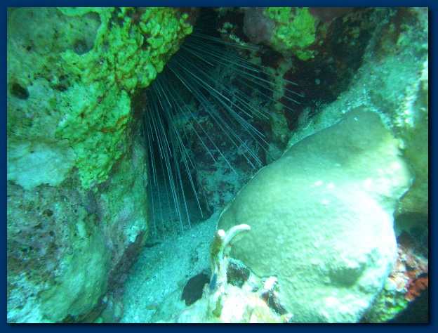 600x449 pixels (154K)