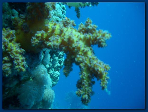 600x449 pixels (93K)