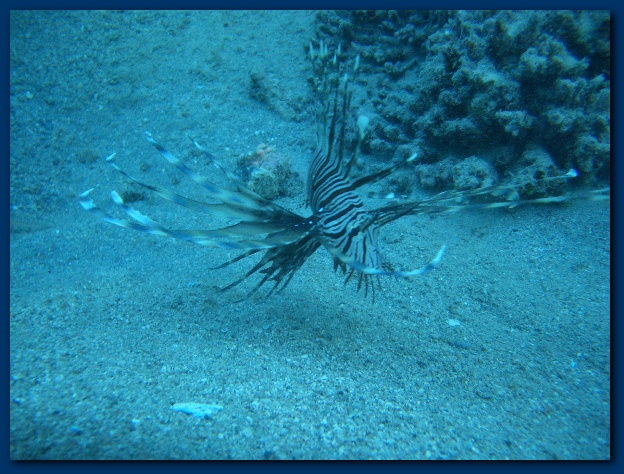 600x449 pixels (165K)