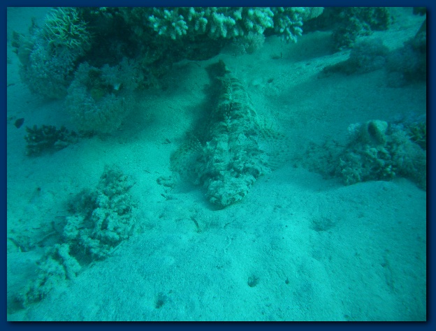 600x449 pixels (119K)