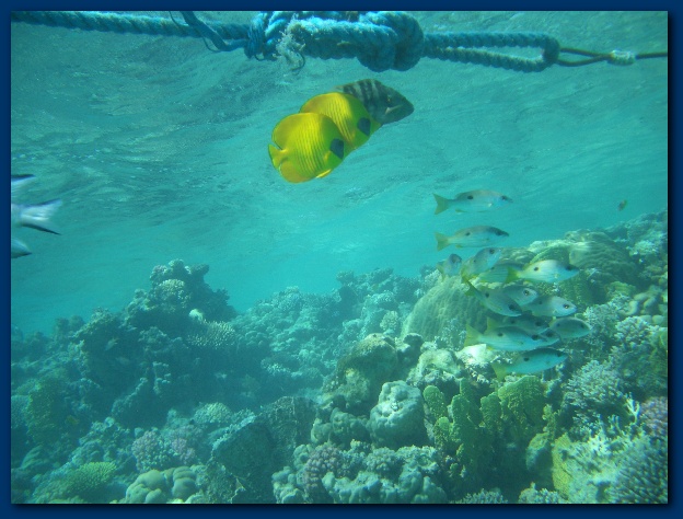 600x449 pixels (127K)