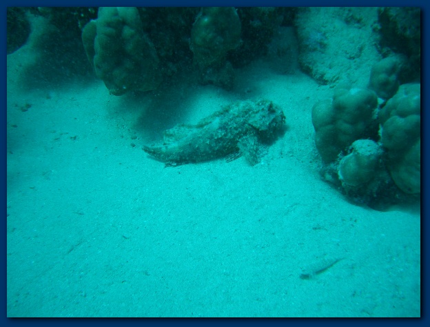 600x449 pixels (103K)