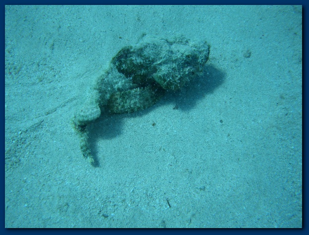 600x449 pixels (150K)