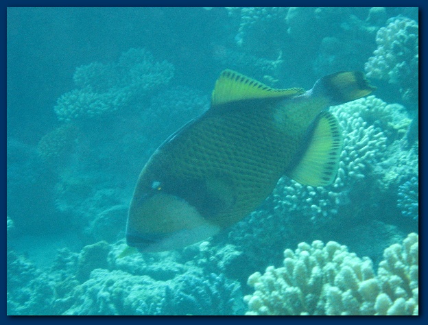 600x449 pixels (122K)