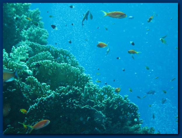 600x449 pixels (126K)