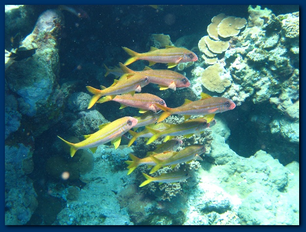 600x449 pixels (164K)