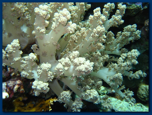 600x449 pixels (176K)