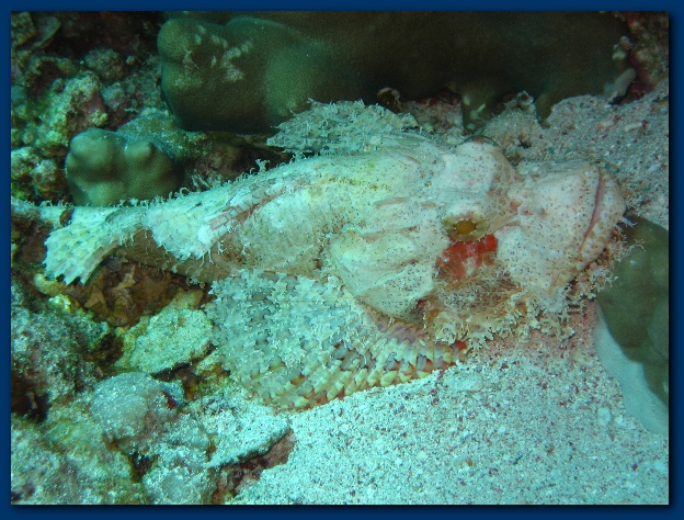 600x449 pixels (172K)