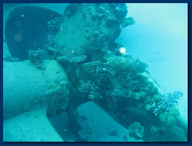 600x449 pixels (114K)