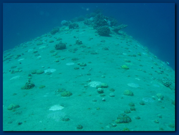 600x449 pixels (92K)