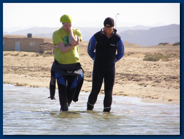 600x449 pixels (120K)