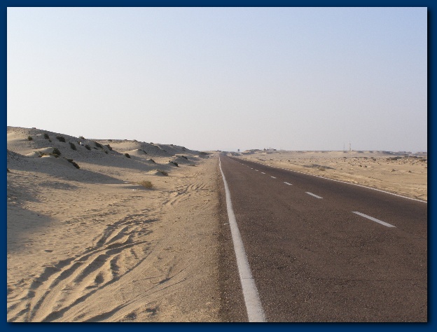 600x449 pixels (105K)