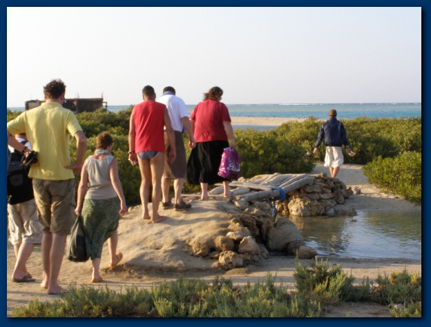 600x449 pixels (117K)