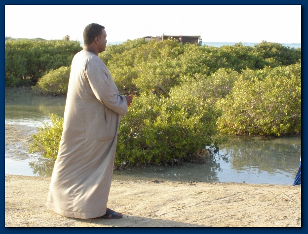 600x449 pixels (148K)