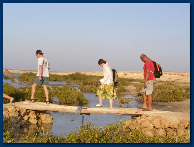 600x449 pixels (114K)