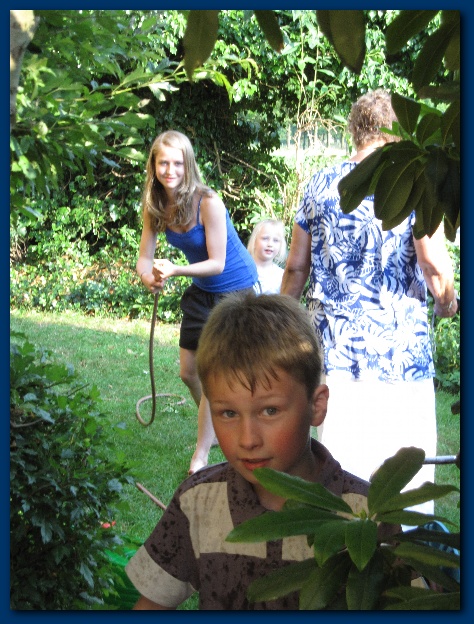 450x599 pixels (173K)