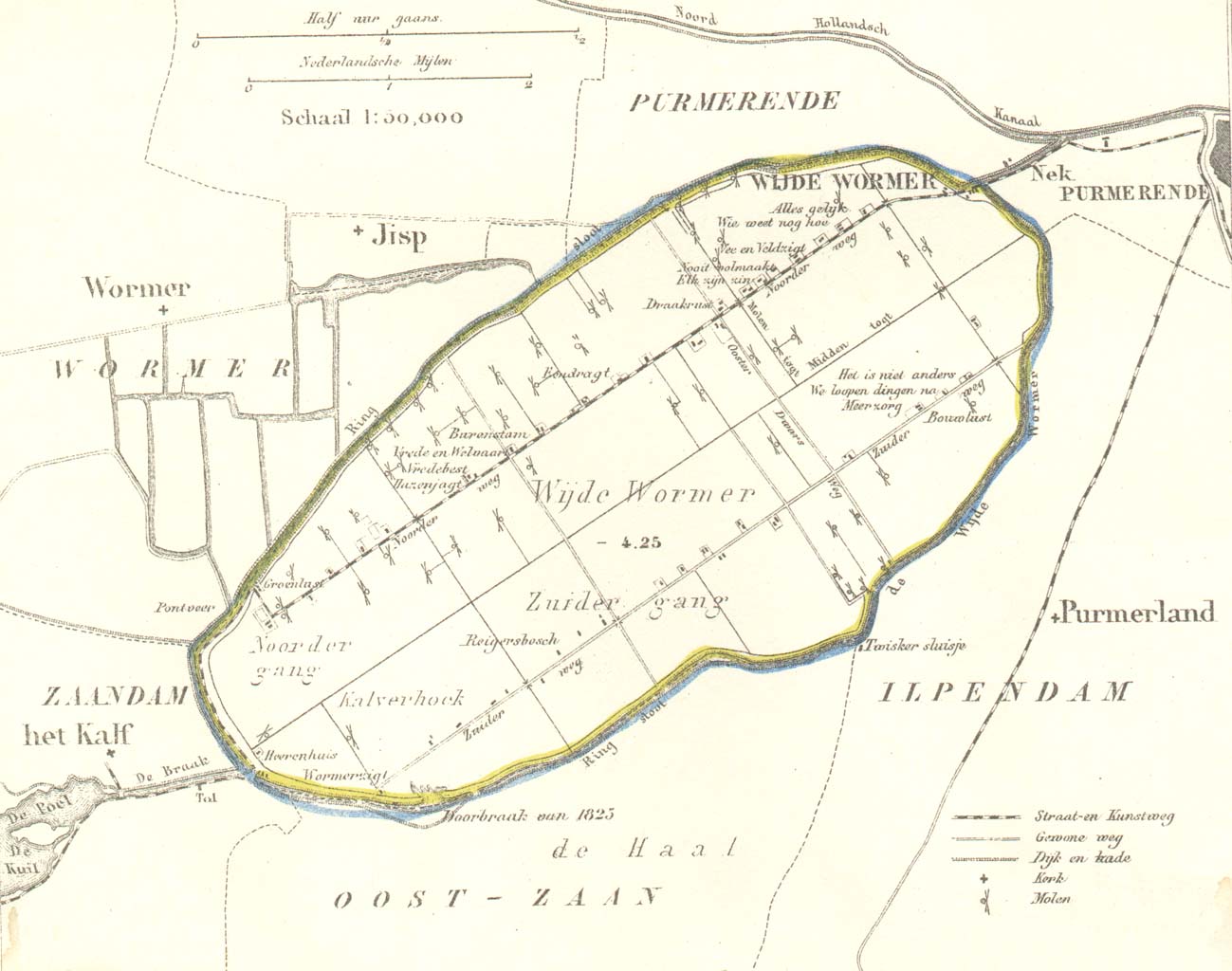 Wijdewormer