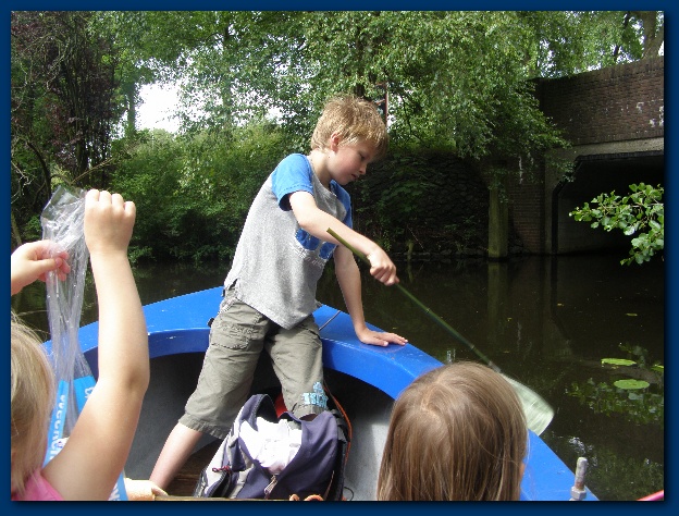 600x449 pixels (164K)