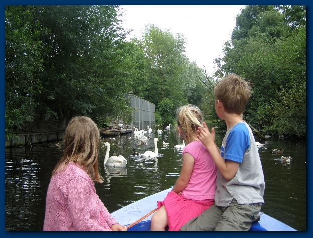 600x449 pixels (168K)