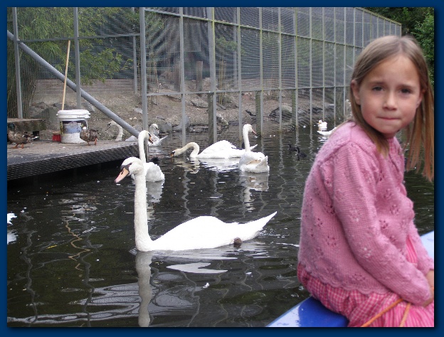 600x449 pixels (148K)