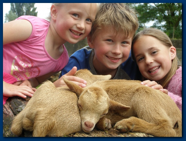 600x449 pixels (147K)