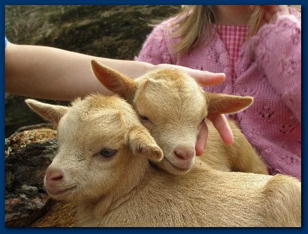 600x449 pixels (139K)