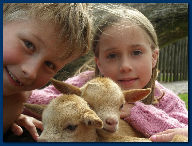 600x449 pixels (132K)