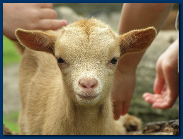 600x449 pixels (105K)