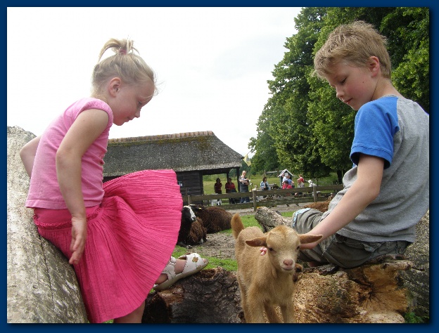 600x449 pixels (141K)