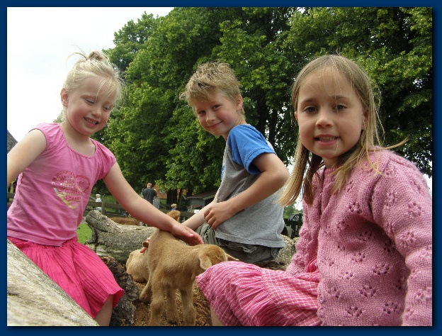 600x449 pixels (172K)