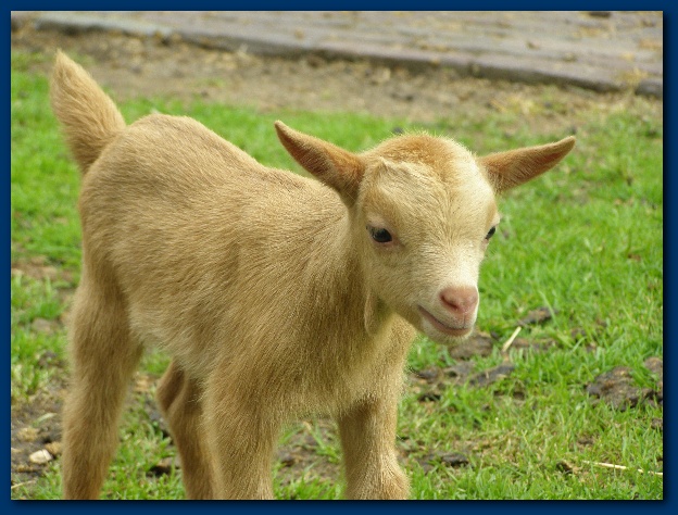 600x449 pixels (139K)