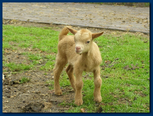 600x449 pixels (190K)