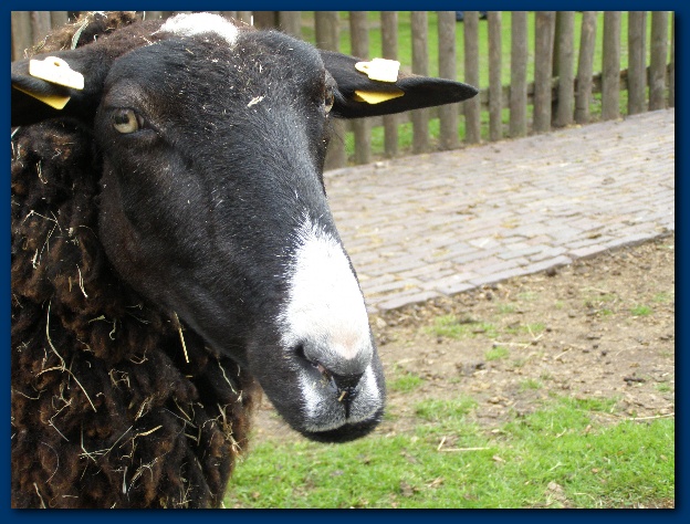 600x449 pixels (152K)