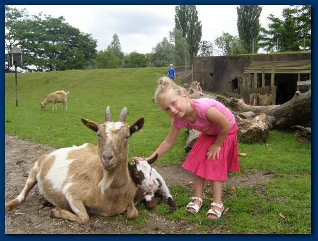 600x449 pixels (161K)