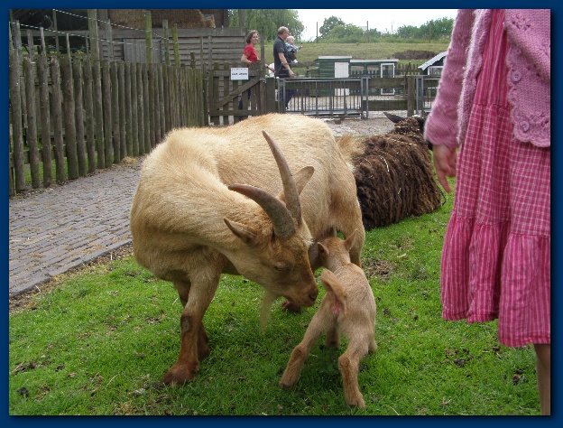 600x449 pixels (171K)