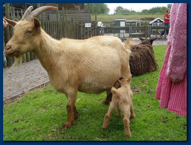 600x449 pixels (180K)