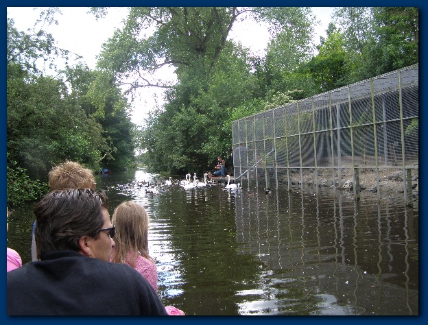 600x449 pixels (180K)