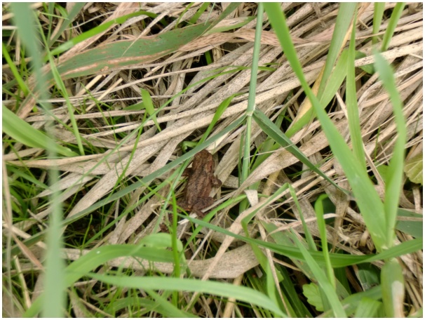 584x433 pixels (151K)