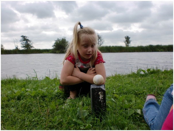 584x433 pixels (104K)