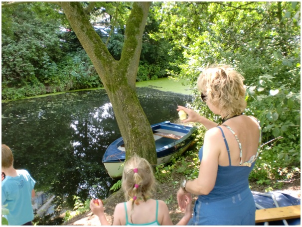 584x433 pixels (162K)