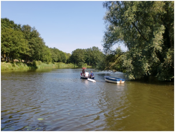 584x433 pixels (118K)